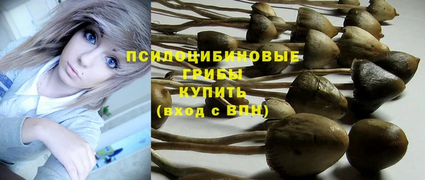 амф Бронницы